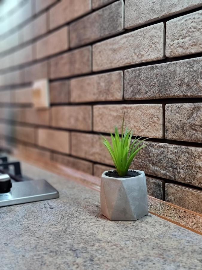 Petropavlivska Apartment Тиха Вуличка В Центрі Старого Міста Kamieniec Podolski Zewnętrze zdjęcie